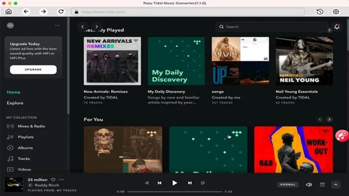 Buy and sell Pazu Tidal Music Converter cheap and complete (2)