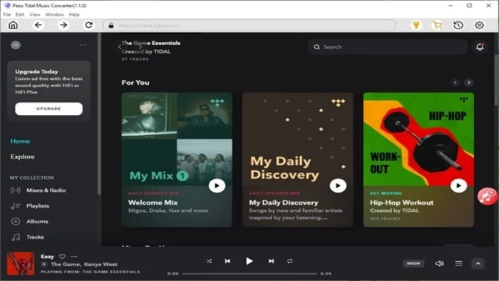 Buy and sell Pazu Tidal Music Converter cheap and complete (4)