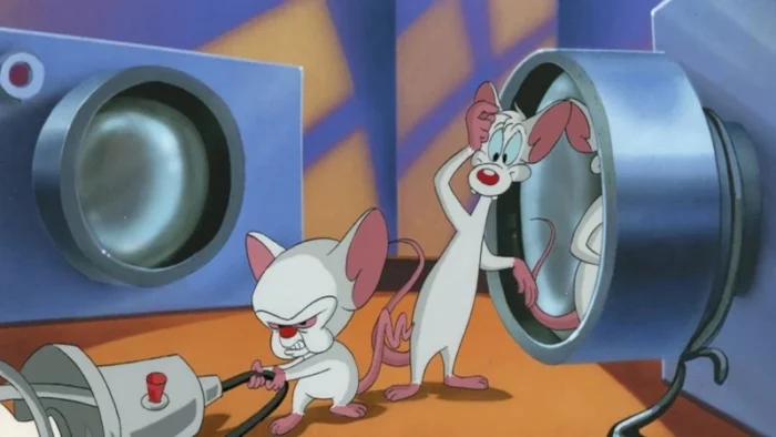 Buy and sell Pinky and the Brain movies cheap and complete (7)