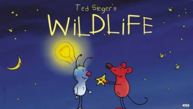 Buy and sell Wildlife Ted Steger's movies cheap and complete